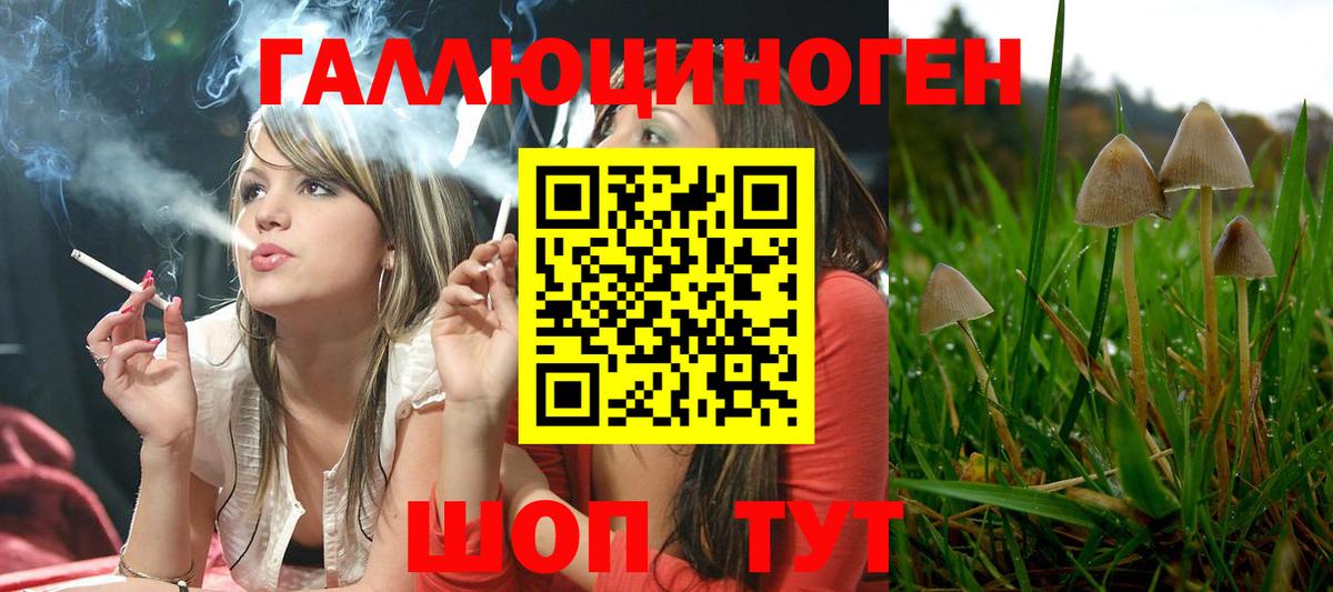 Псилоцибиновые грибы Magic Shrooms  Галлюциногенные грибы MAGIC MUSHROOMS  Вход с VPN  Бузулук 